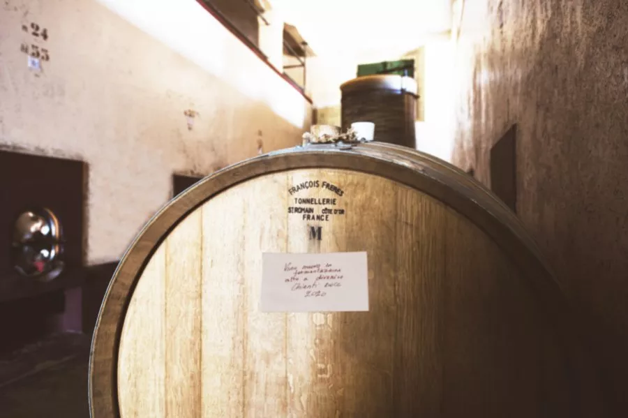 Immagine Visita con degustazione vino e olio 11 Immagine Visita con degustazione vino e olio 11