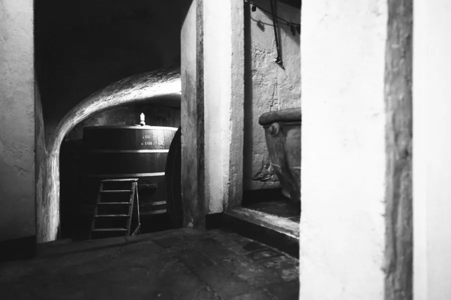 Immagine Visita con degustazione vino e olio 13 Immagine Visita con degustazione vino e olio 13