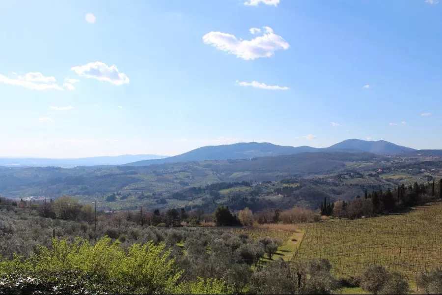 Immagine Visita con degustazione vino e olio 17 Immagine Visita con degustazione vino e olio 17