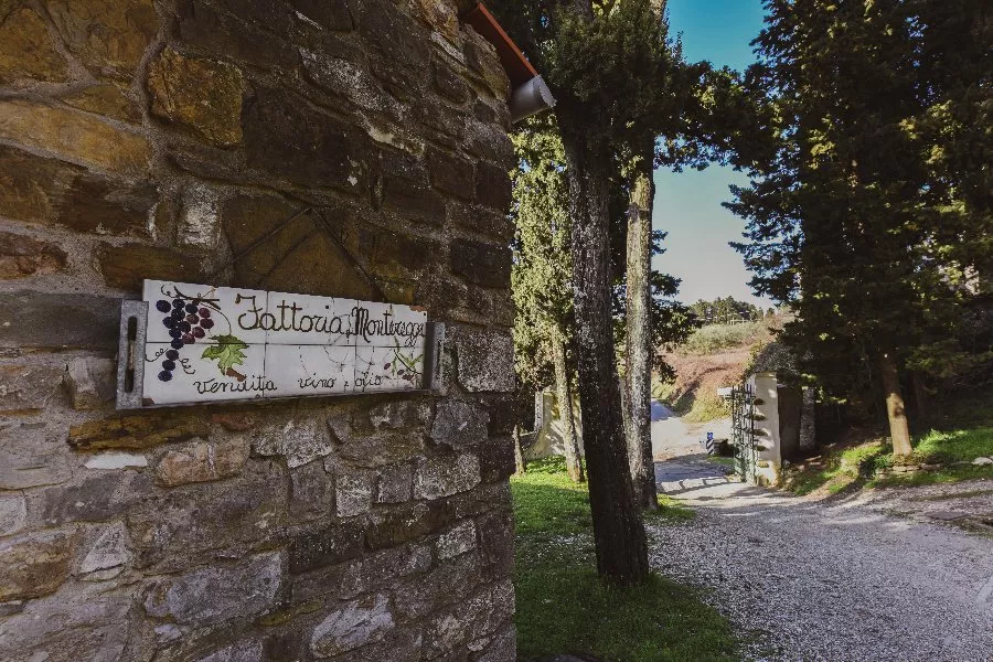 Immagine Visita con degustazione vino e olio 22 Immagine Visita con degustazione vino e olio 22