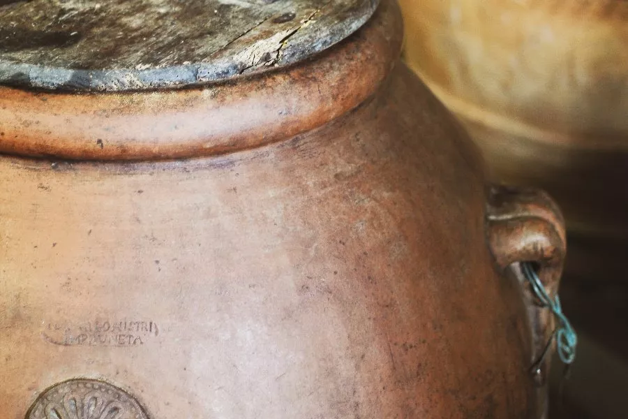 Immagine Visita con degustazione vino e olio 23 Immagine Visita con degustazione vino e olio 23