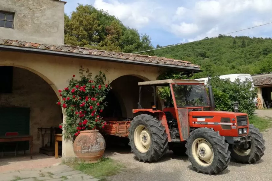 Immagine Visita con degustazione vino e olio 27 Immagine Visita con degustazione vino e olio 27