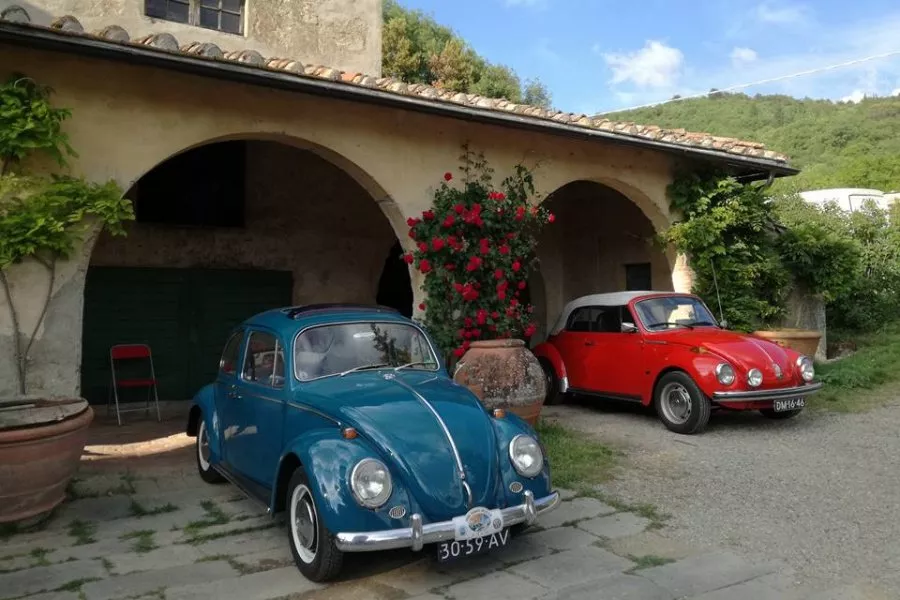 Immagine Visita con degustazione vino e olio 28 Immagine Visita con degustazione vino e olio 28