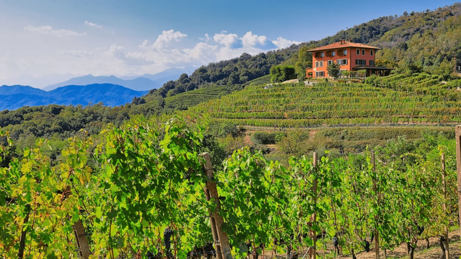 Immagine Podere ai Valloni 1 Immagine Podere ai Valloni 1