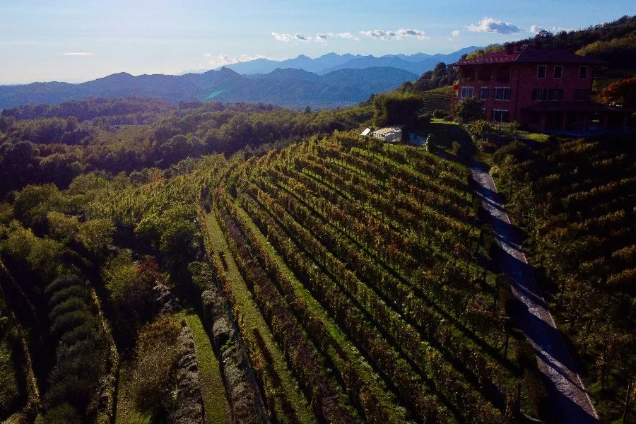 Immagine Podere ai Valloni 3