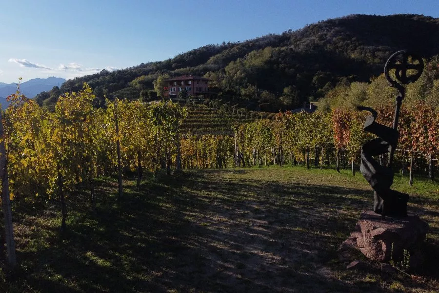 Immagine Podere ai Valloni 4
