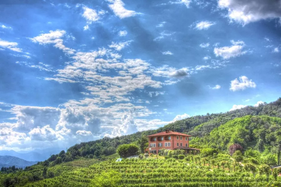 Immagine Sapori tra Boca e la Valsesia 14 Immagine Sapori tra Boca e la Valsesia 14