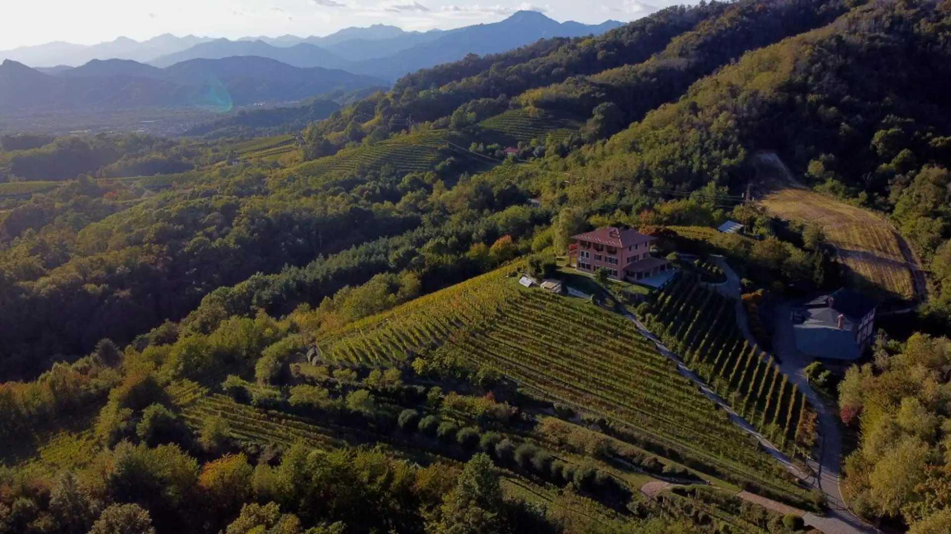 Immagine visita Sapori tra Boca e la Valsesia cantina Podere ai Valloni Immagine visita Sapori tra Boca e la Valsesia cantina Podere ai Valloni