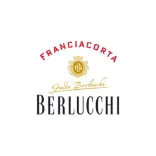 BERLUCCHI GUIDO logo