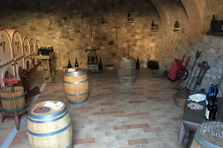 Immagine Quattro vini Lugana e dintorni 10 Immagine Quattro vini Lugana e dintorni 10