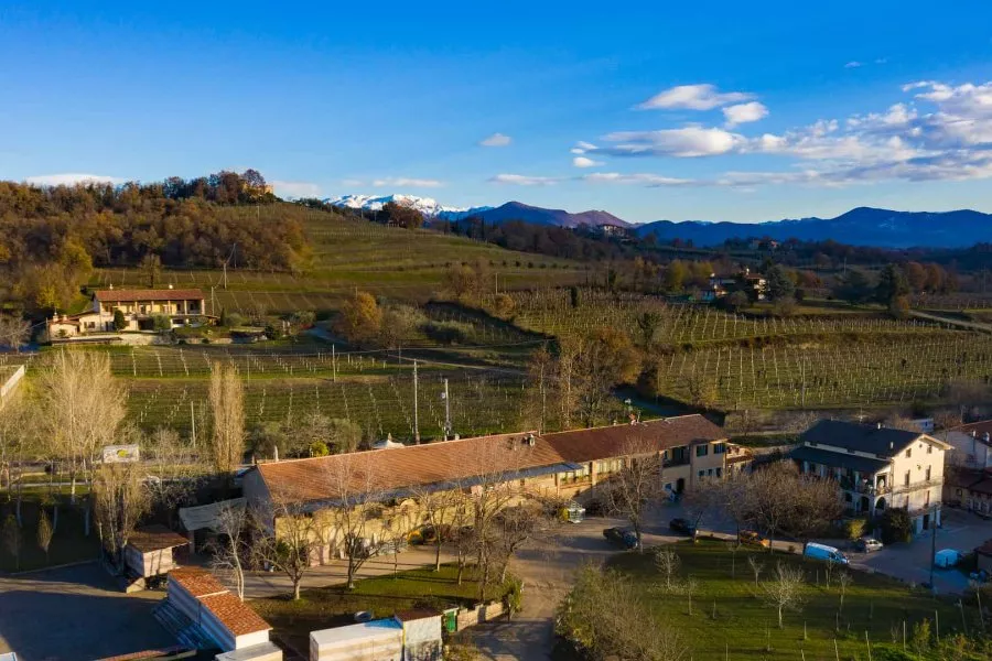 Immagine Azienda agricola Priore 3 Immagine Azienda agricola Priore 3