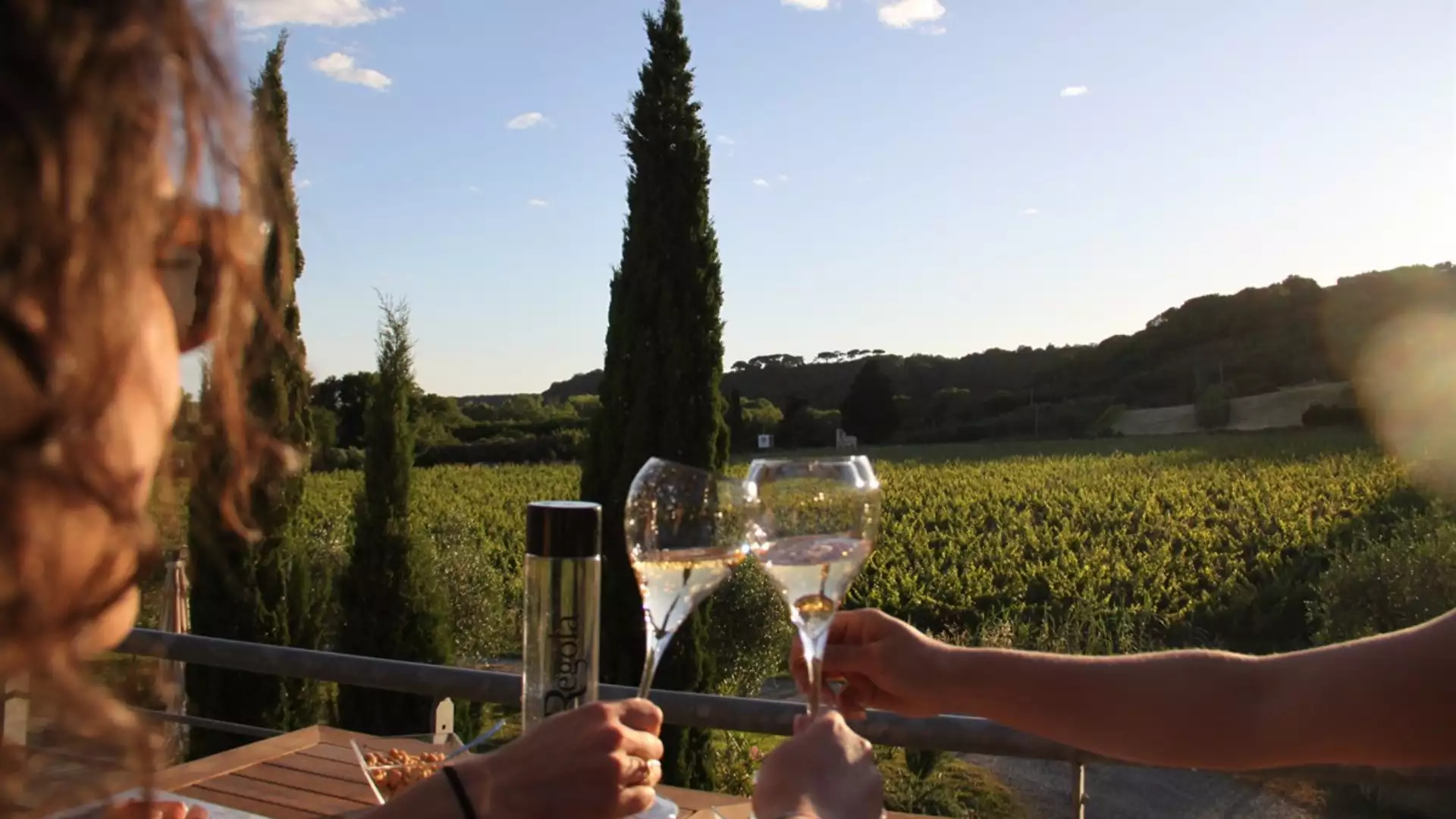 Immagine visita Degustazione dei Vini BIO cantina Podere La Regola