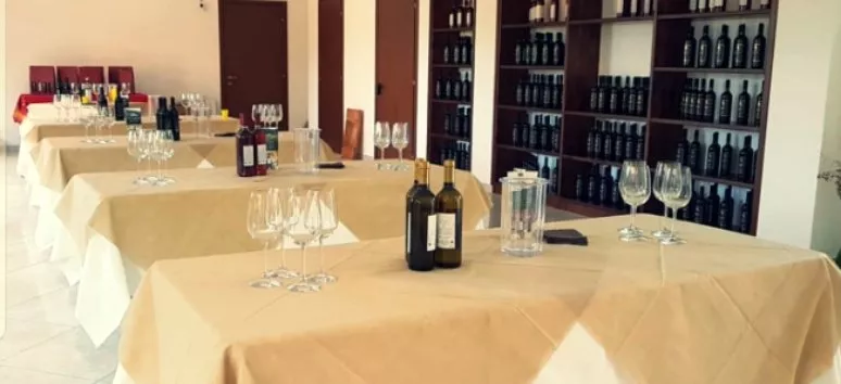 Immagine visita Visita con degustazione cantina Feudo Gagliardi