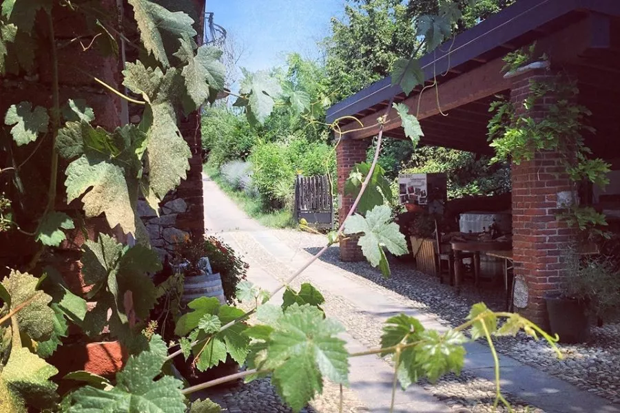 Immagine Visita in cantina + degustazione 4 vini Doc 11 Immagine Visita in cantina + degustazione 4 vini Doc 11