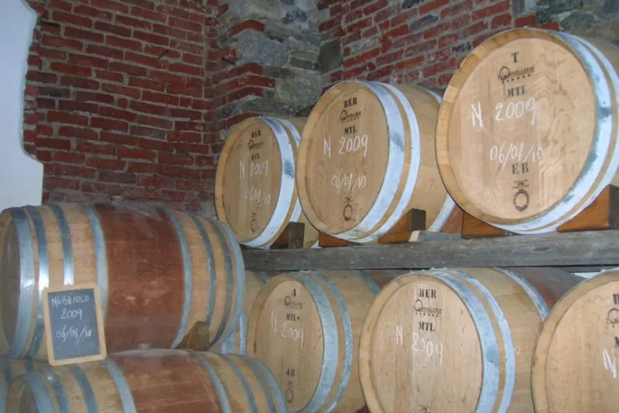 Immagine Visita in cantina + degustazione 4 vini Doc 12 Immagine Visita in cantina + degustazione 4 vini Doc 12