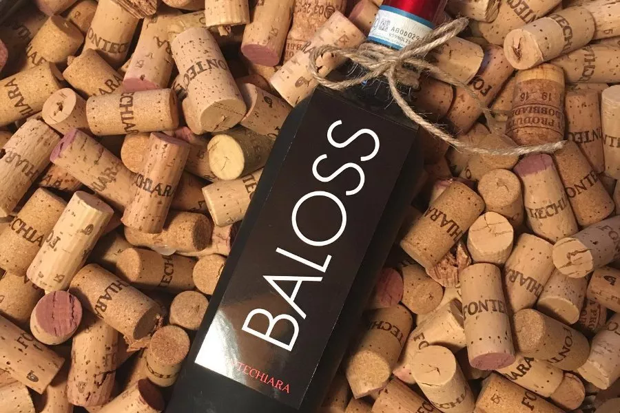 Immagine Visita in cantina + degustazione 4 vini Doc 14 Immagine Visita in cantina + degustazione 4 vini Doc 14