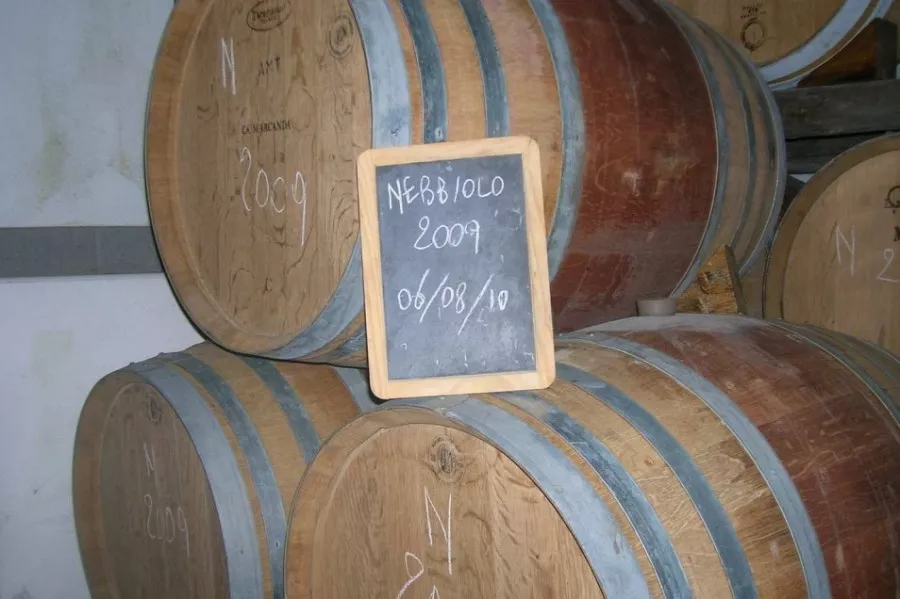 Immagine Visita in cantina + degustazione 4 vini Doc 23 Immagine Visita in cantina + degustazione 4 vini Doc 23