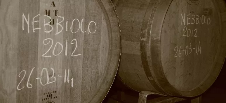 Immagine visita Visita in cantina + degustazione 4 vini Doc cantina Cantina Fontechiara Immagine visita Visita in cantina + degustazione 4 vini Doc cantina Cantina Fontechiara