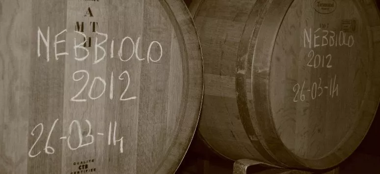Immagine visita Visita in cantina + degustazione 3 vini Doc cantina Cantina Fontechiara