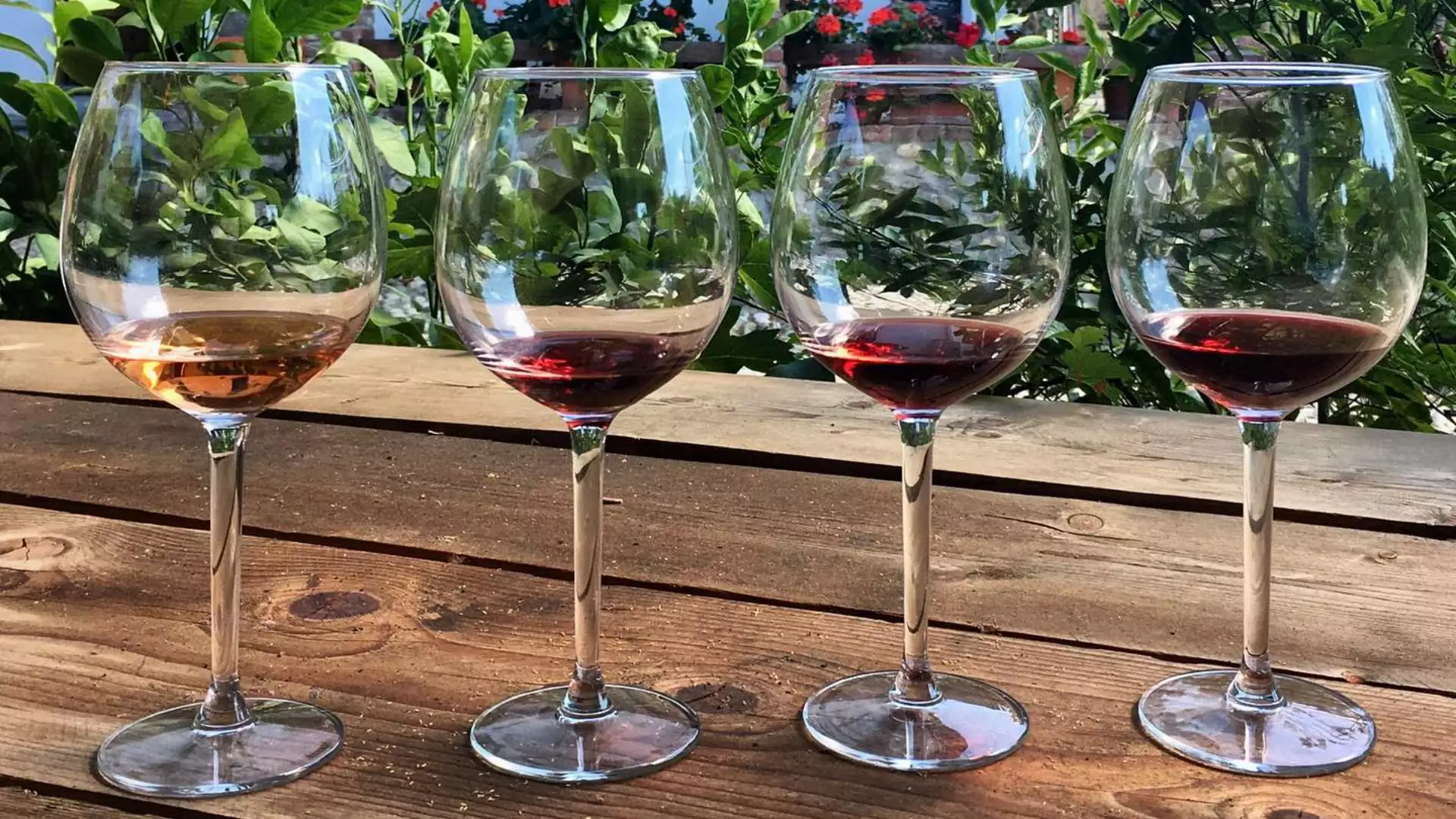 Immagine WINE & RELAX: LA PASSIONE IN UN CALICE 9 Immagine WINE & RELAX: LA PASSIONE IN UN CALICE 9