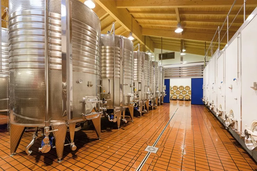 Immagine Cantina Baldetti 10 Immagine Cantina Baldetti 10