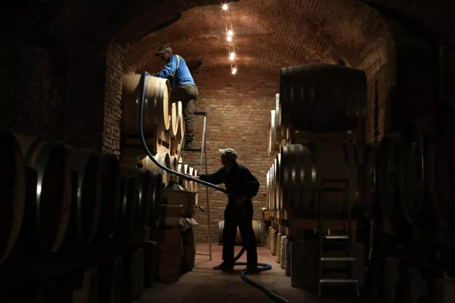 Immagine I vini da Collezione della Tenuta 7 Immagine I vini da Collezione della Tenuta 7