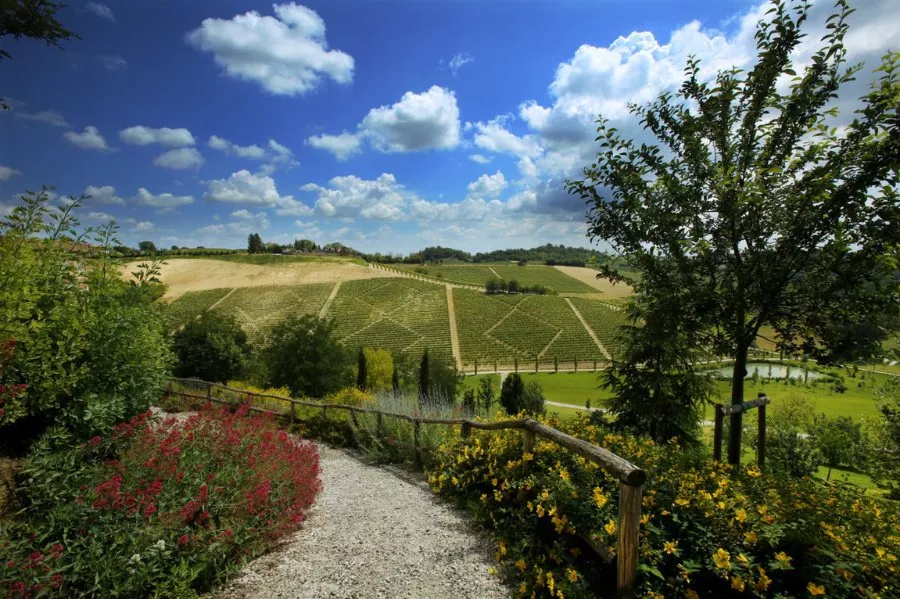 Immagine I vini da Collezione della Tenuta 12 Immagine I vini da Collezione della Tenuta 12