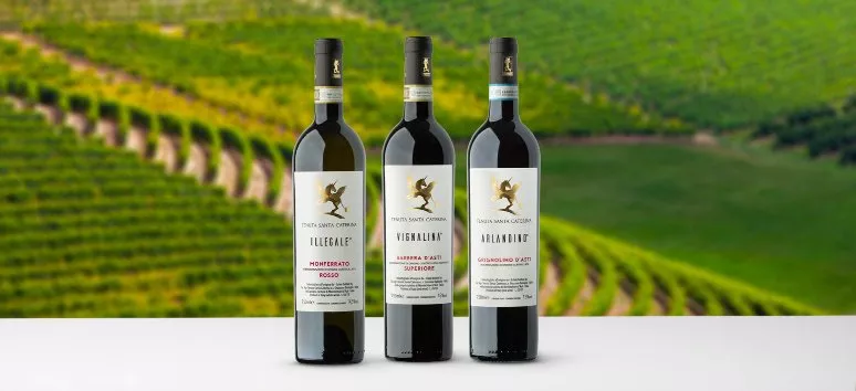 Immagine visita The wines of Monferrato cantina Tenuta Santa Caterina Immagine visita The wines of Monferrato cantina Tenuta Santa Caterina