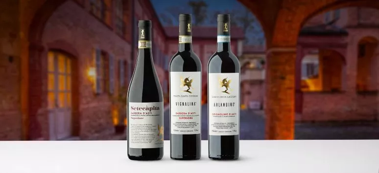 Immagine visita The wines of Monferrato PLUS cantina Tenuta Santa Caterina