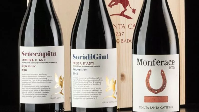 Immagine visita The Estate's Collectible Wines cantina Tenuta Santa Caterina Immagine visita The Estate's Collectible Wines cantina Tenuta Santa Caterina
