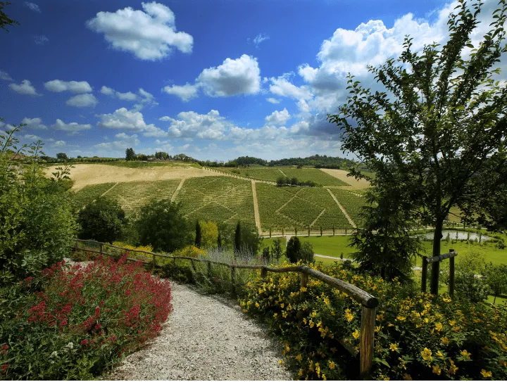 Immagine Tenuta Santa Caterina 2 Immagine Tenuta Santa Caterina 2