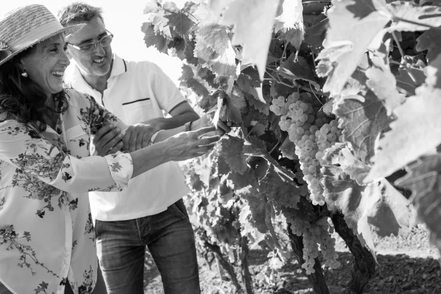 Immagine In Sicilia tra vigneti bio e cantina 8 Immagine In Sicilia tra vigneti bio e cantina 8