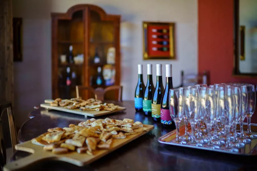 Immagine In Sicilia tra vigneti bio e cantina 12 Immagine In Sicilia tra vigneti bio e cantina 12