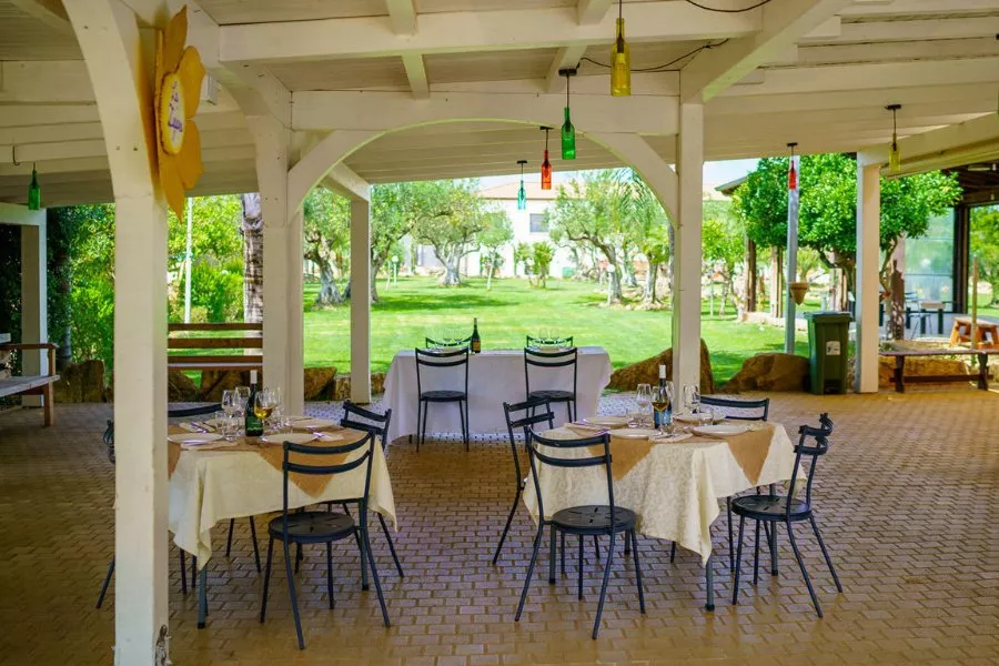 Immagine In Sicilia tra vigneti bio e cantina 14 Immagine In Sicilia tra vigneti bio e cantina 14
