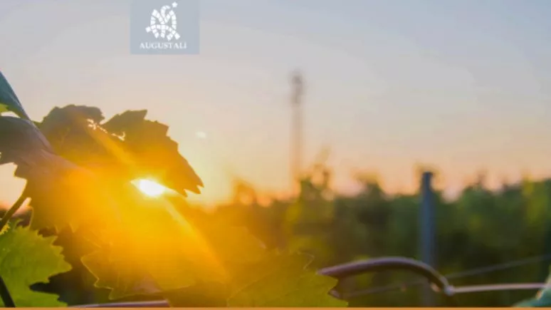 Immagine visita Sunset experience cantina Fattoria Augustali