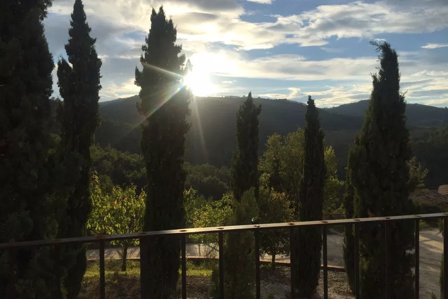 Immagine Tenuta Baroni Campanino 3