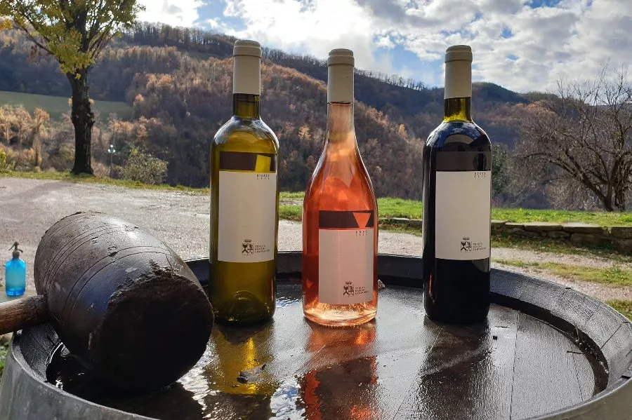 Immagine Tenuta Baroni Campanino 5 Immagine Tenuta Baroni Campanino 5