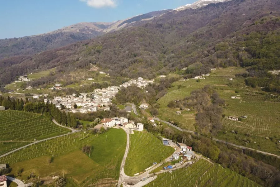 Immagine Crodi Az. Agricola 3 Immagine Crodi Az. Agricola 3