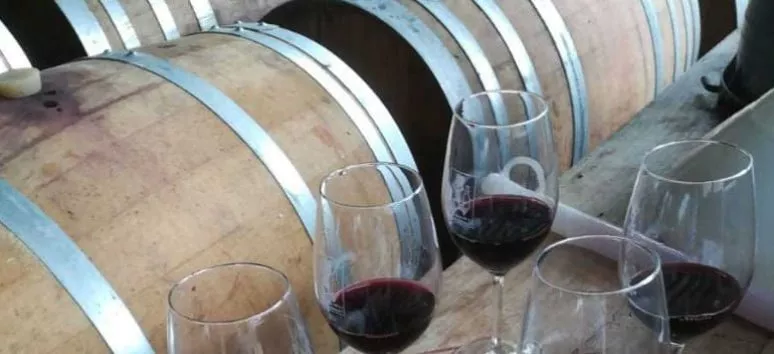 Immagine visita Un rosso in terra DOCG cantina Crodi Az. Agricola