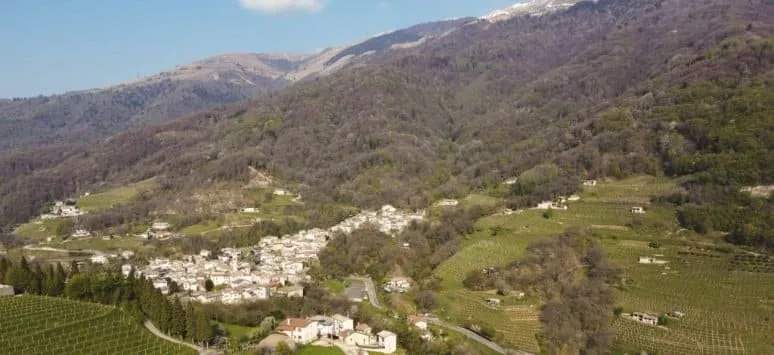 Immagine visita 360° Combai cantina Crodi Az. Agricola