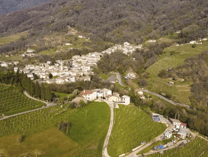 Immagine Crodi Az. Agricola 2