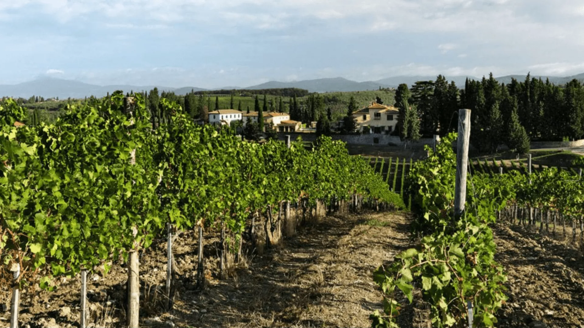 Immagine cantina Ruffino - Tenuta Poggio Casciano