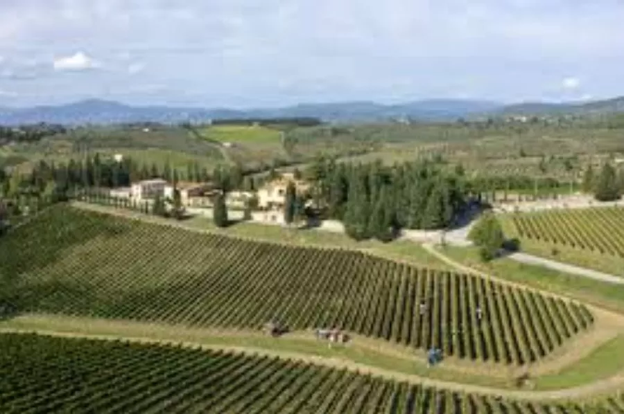 Immagine Ruffino - Tenuta Poggio Casciano 6 Immagine Ruffino - Tenuta Poggio Casciano 6