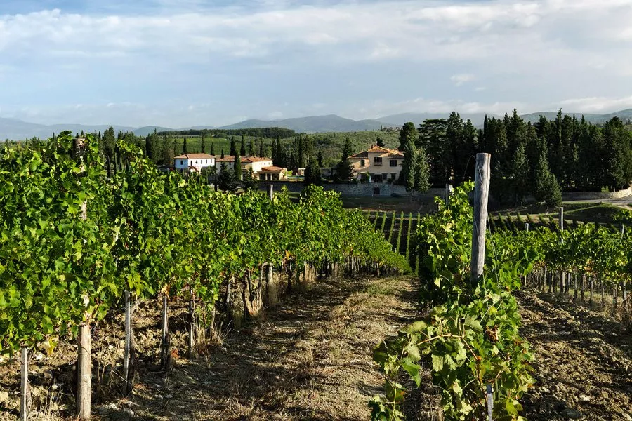 Immagine Ruffino - Tenuta Poggio Casciano 8 Immagine Ruffino - Tenuta Poggio Casciano 8