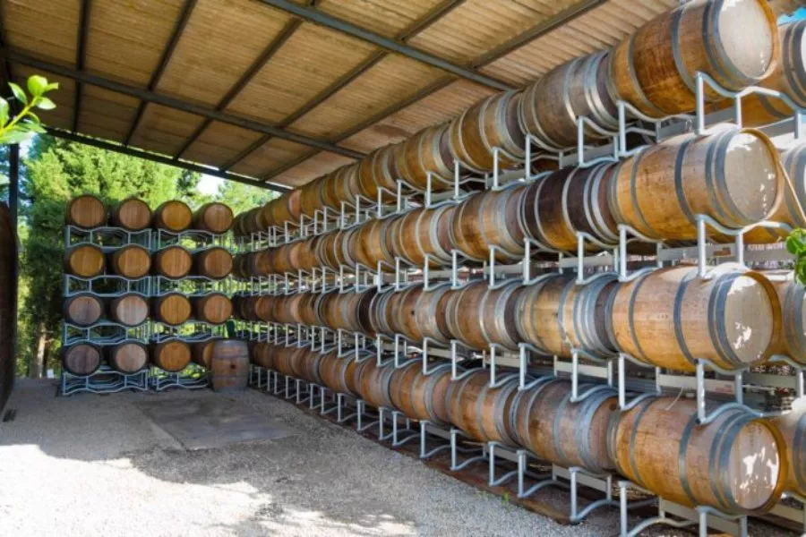 Immagine Cantina Cantalici 4 Immagine Cantina Cantalici 4