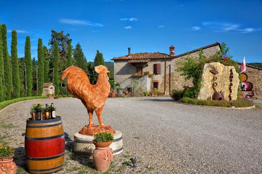 Immagine Tour con degustazione 14 Immagine Tour con degustazione 14