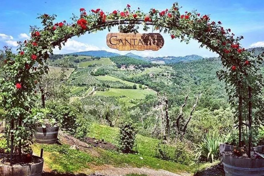 Immagine Tour con degustazione 15 Immagine Tour con degustazione 15