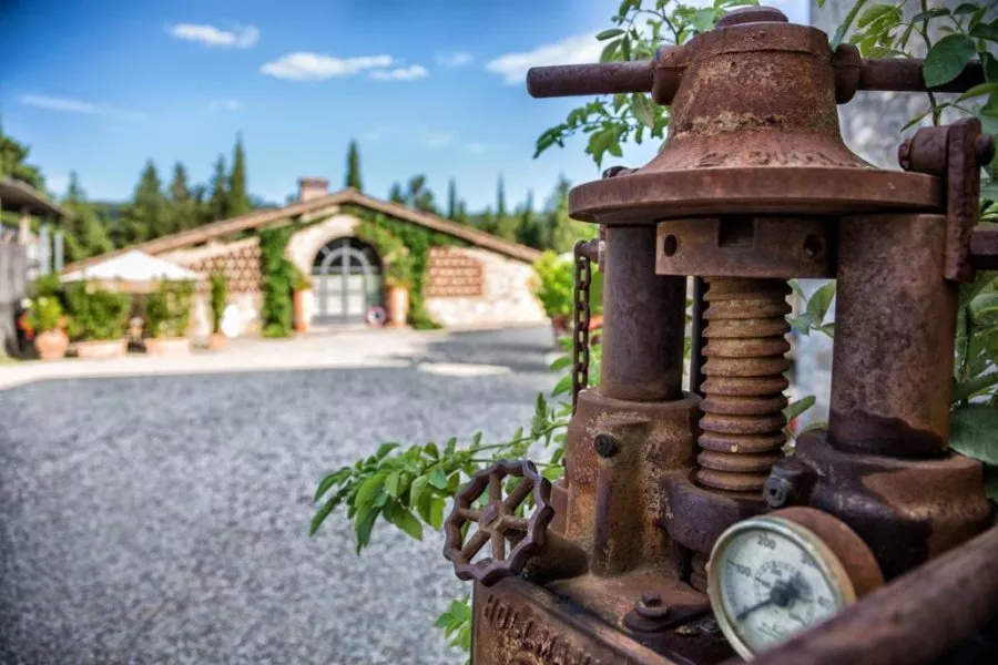 Immagine Tour con degustazione 16 Immagine Tour con degustazione 16