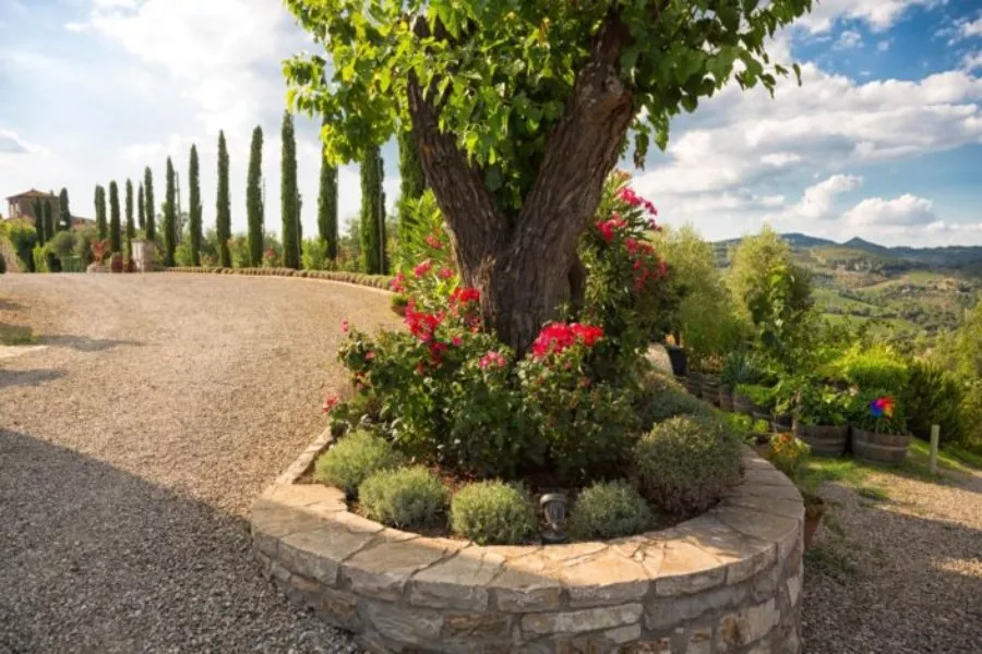 Immagine Tour con degustazione 19 Immagine Tour con degustazione 19