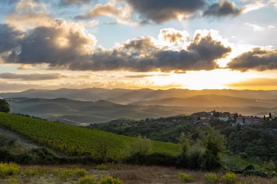 Immagine Tour con degustazione 21 Immagine Tour con degustazione 21